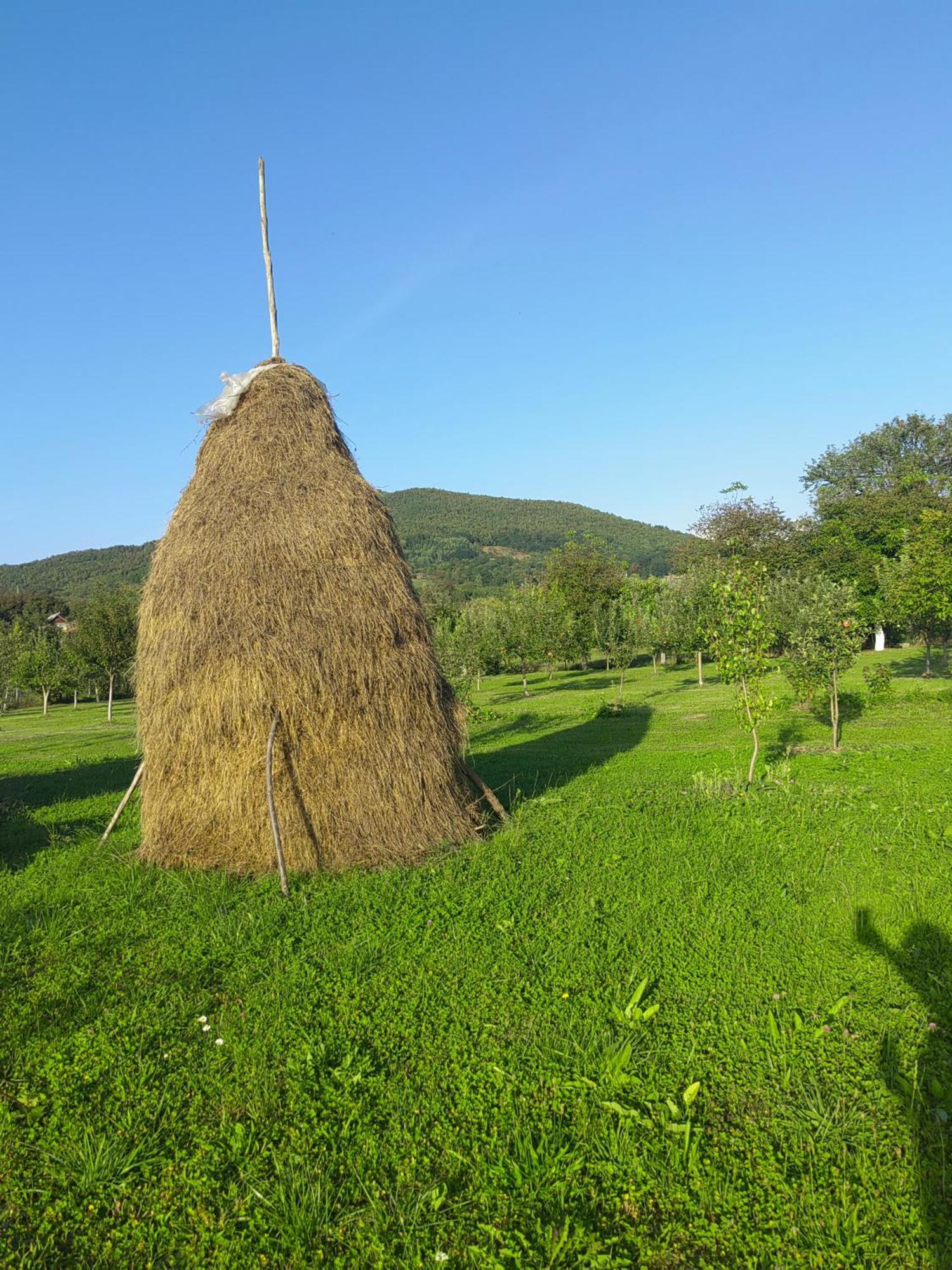 Casa Boila Hotel Bîrsana Buitenkant foto